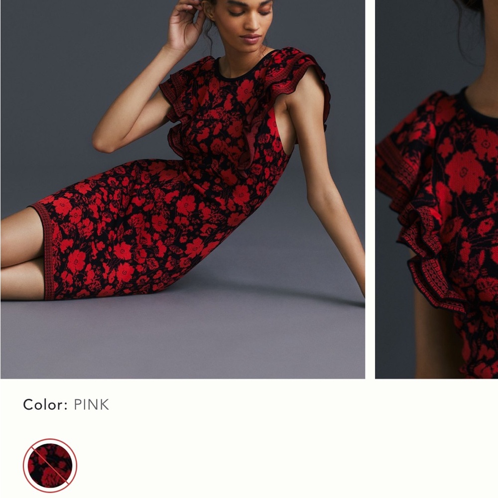 BNWT Eva Franco Floral Black and Red Dress (anthropologie)